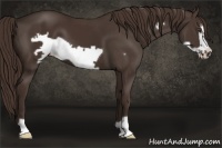 Horse Color:Liver Chestnut Frame 