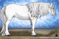 Horse Color:Silver Black Snowflake Varnish