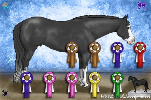 Horse Color:Black Sabino Splash 