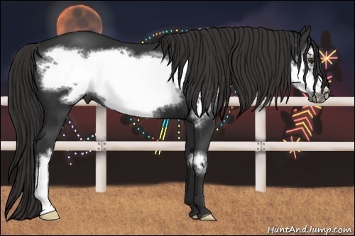 Horse Color:Liver Chestnut Frame 