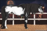 Horse Color:Liver Chestnut Frame 