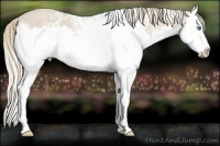 Horse Color:White Spotted Smoky Creme Splash