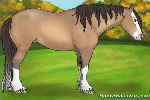 Horse Color:Amber Champagne Sabino Splash