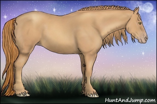 Horse Color:Gold Champagne 