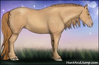 Horse Color:Gold Champagne 