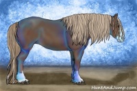 Horse Color:Chestnut Splash 
