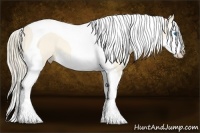 Horse Color:Perlino Roan Dun Splash Tobiano 