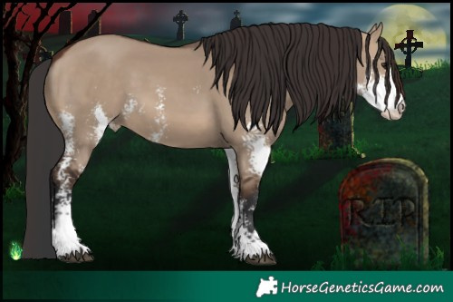 Horse Color:Brown Dun Sabino 