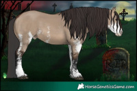 Horse Color:Brown Dun Sabino 
