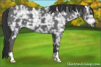 Horse Color:Black Ice 