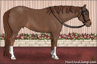 Horse Color:Red Roan 