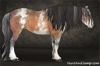Horse Color:White Spotted Buckskin