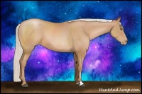 Horse Color:Silver Bay Pearl Sabino