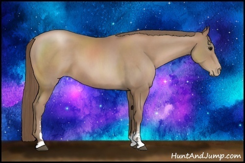 Horse Color:Black Pearl Sabino 