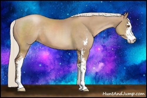 Horse Color:Silver Black Pearl Sabino 