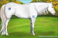 Horse Color:Gold Champagne Snowflake Varnish 