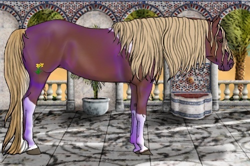Horse Color:Chestnut Tobiano