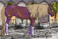 Horse Color:Chestnut Tobiano
