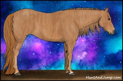 Horse Color:Chestnut  Brindle