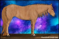 Horse Color:Chestnut Brindle