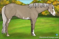 Horse Color:Silver Smoky Grullo Splash Frame