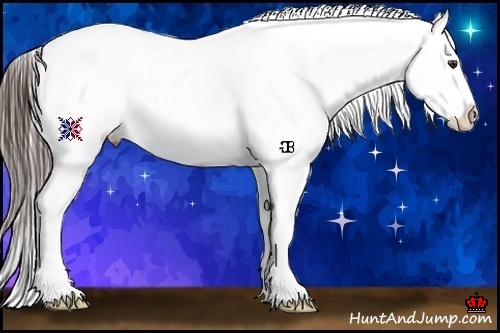 Horse Color:Liver Chestnut Sabino Appaloosa Rabicano 