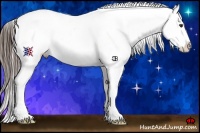 Horse Color:Liver Chestnut Sabino Blanket Rabicano 
