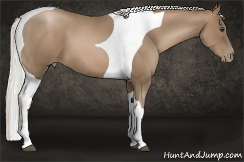 Horse Color:Silver Black Pearl Tobiano 