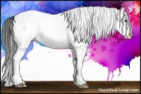 Horse Color:White Spotted Bay Ice Splash