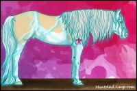 Horse Color:Thunderstruck Silver Amber Champagne Dun Splash 