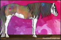 Horse Color:Nacre Buckskin Splash 