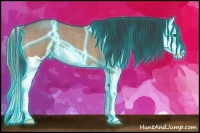 Horse Color:Thunderstruck Bay Roan Dun Splash 