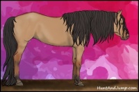 Horse Color:Bay Dun