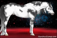 Horse Color:White Spotted Black Sabino Frame