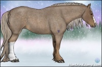 Horse Color:Chocolate Palomino Roan 