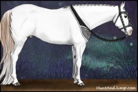 Horse Color:Smoky Black Ice Varnish Rabicano