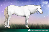Horse Color:Grullo Pearl Sabino 