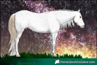 Horse Color:Grullo Pearl Sabino