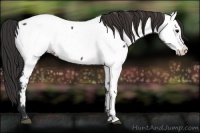 Horse Color:Brown Fewspot 