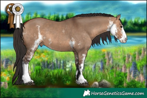 Horse Color:Brown Dun Sabino Rabicano Brindle