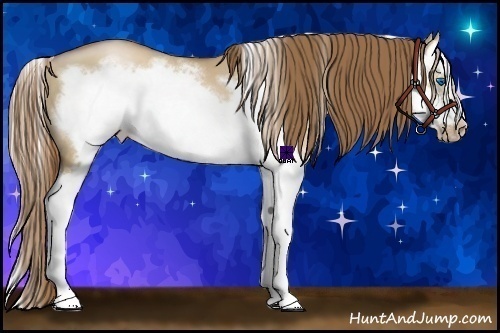 Horse Color:Liver Red Dun Pearl Splash Frame 