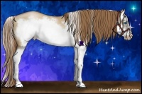 Horse Color:Liver Red Dun Pearl Splash Frame 