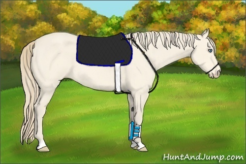 Horse Color:Perlino 