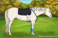 Horse Color:Perlino 