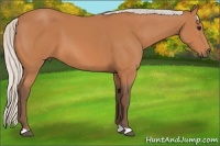 Horse Color:Silver Bay