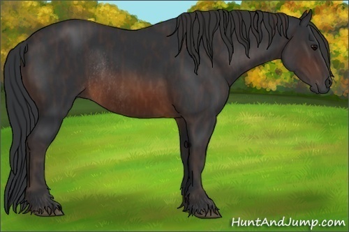 Horse Color:Brown Rabicano  Brindle