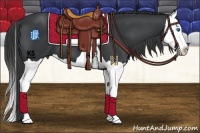 Horse Color:Black Splash