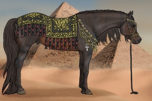 Horse Color:Brown Rabicano Brindle