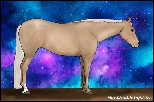 Horse Color:Silver Black Pearl Sabino 