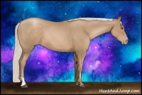 Horse Color:Silver Black Pearl Sabino
